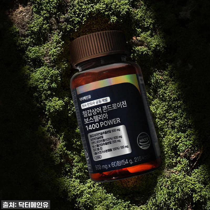 철갑상어 콘드로이친 보스웰리아 140 관련 이미지 4