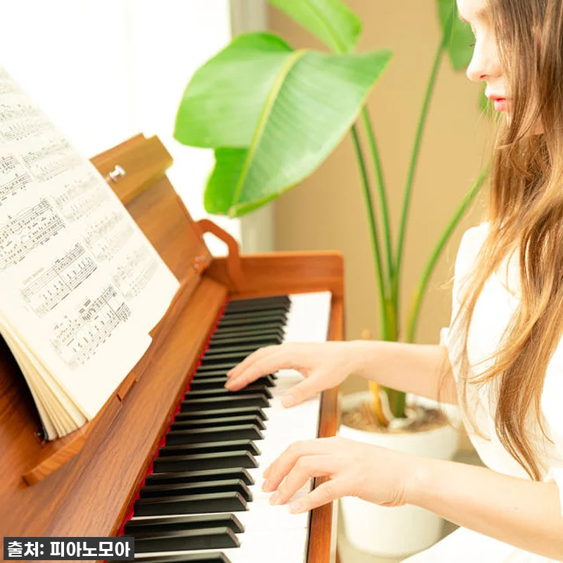 듀로 V6 디지털피아노, 집을 채우는 관련 이미지 4