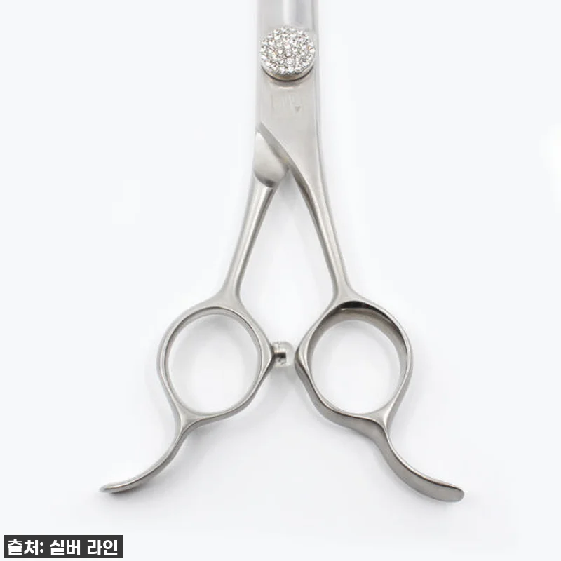 실버라인펫 HBMC 하이브리드 강아지 관련 이미지 4