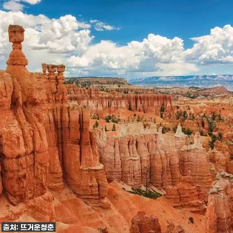 꿈만 같던 미서부 2박 3일 여행! 관련 이미지 5