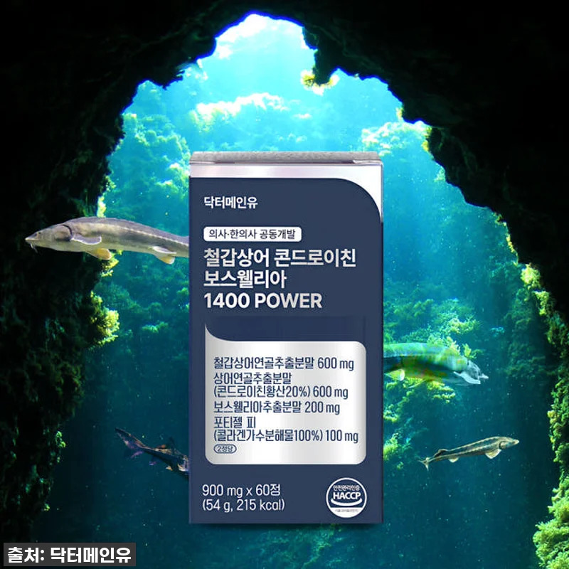 철갑상어 콘드로이친 보스웰리아 140 관련 이미지 5