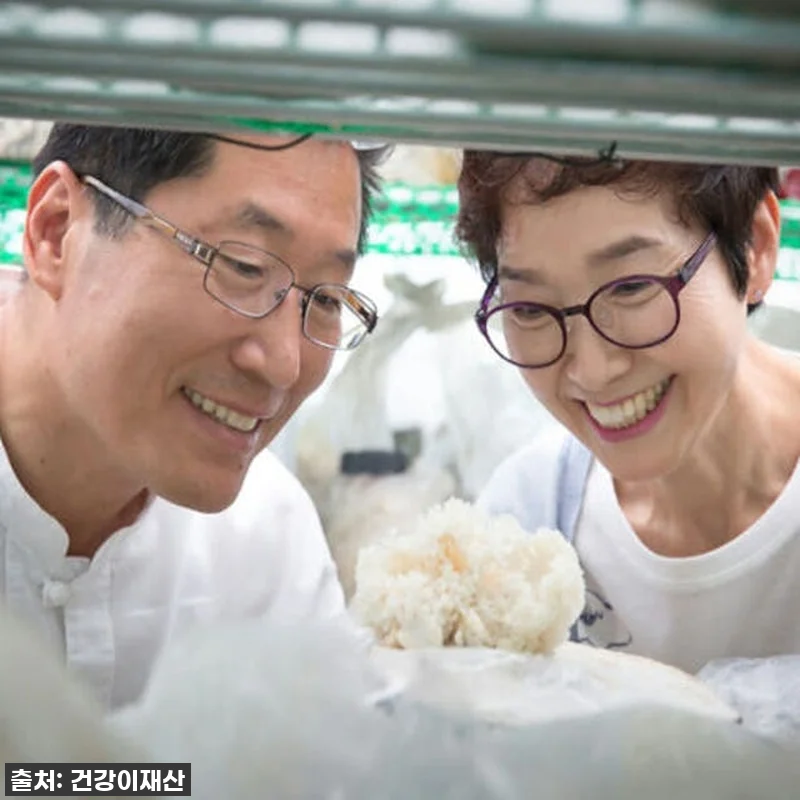 환절기 속 불편함 싹! 경신바이오 발 관련 이미지 6