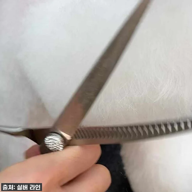 실버라인펫 HBMC 하이브리드 강아지 관련 이미지 5