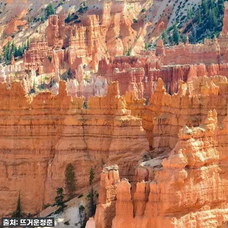 꿈만 같던 미서부 2박 3일 여행! 관련 이미지 6