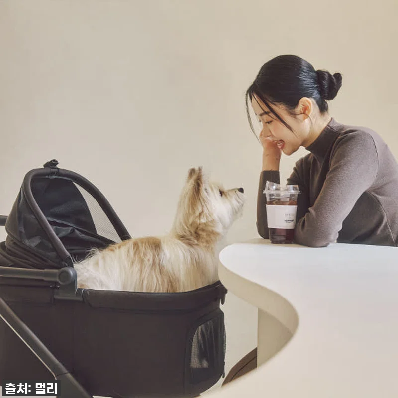 멀리 에어바퀴 강아지유모차 MWX 미 관련 이미지 6