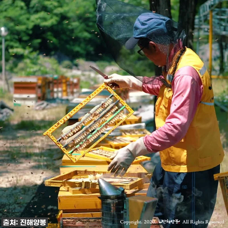 진해양봉 로얄젤리 1개월분 4병 세트 관련 이미지 6