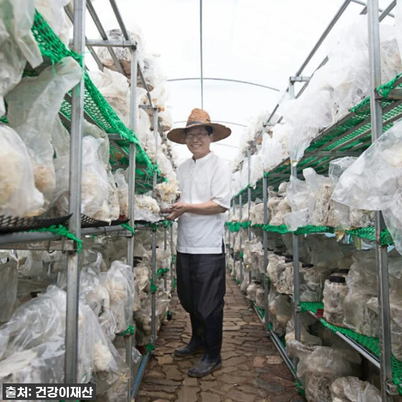 환절기 속 불편함 싹! 경신바이오 발 관련 이미지 7