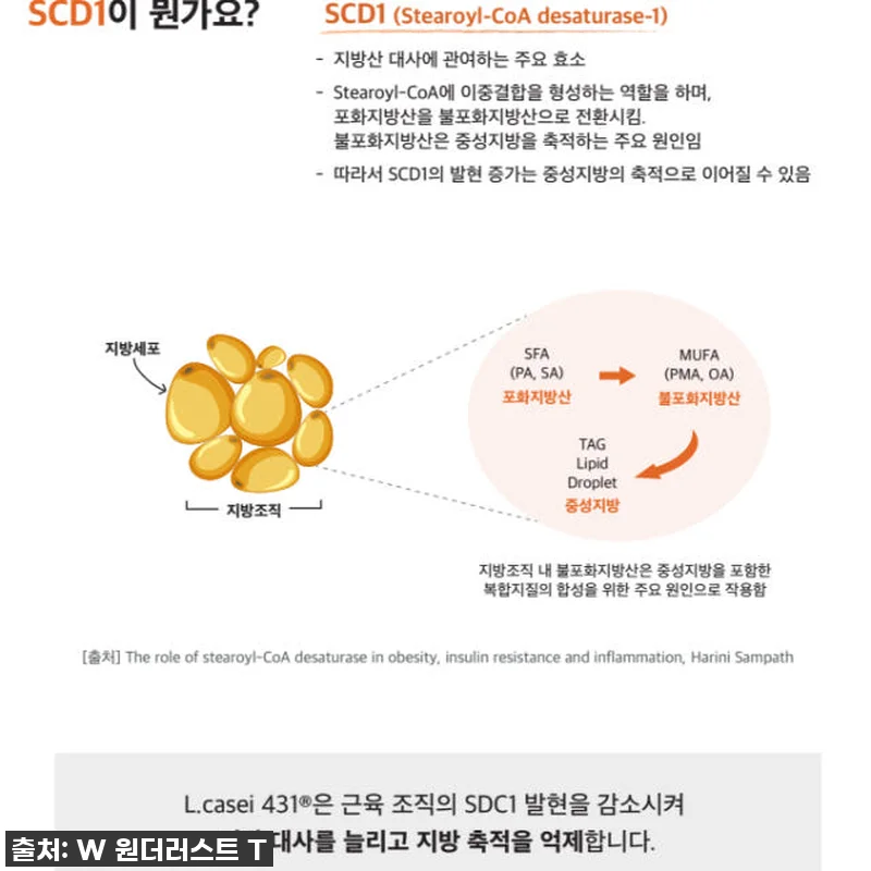 바쁜 일상 속 든든함과 가벼움을 동시 관련 이미지 7