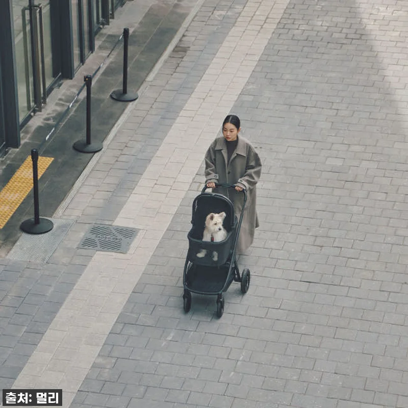 멀리 에어바퀴 강아지유모차 MWX 미 관련 이미지 7