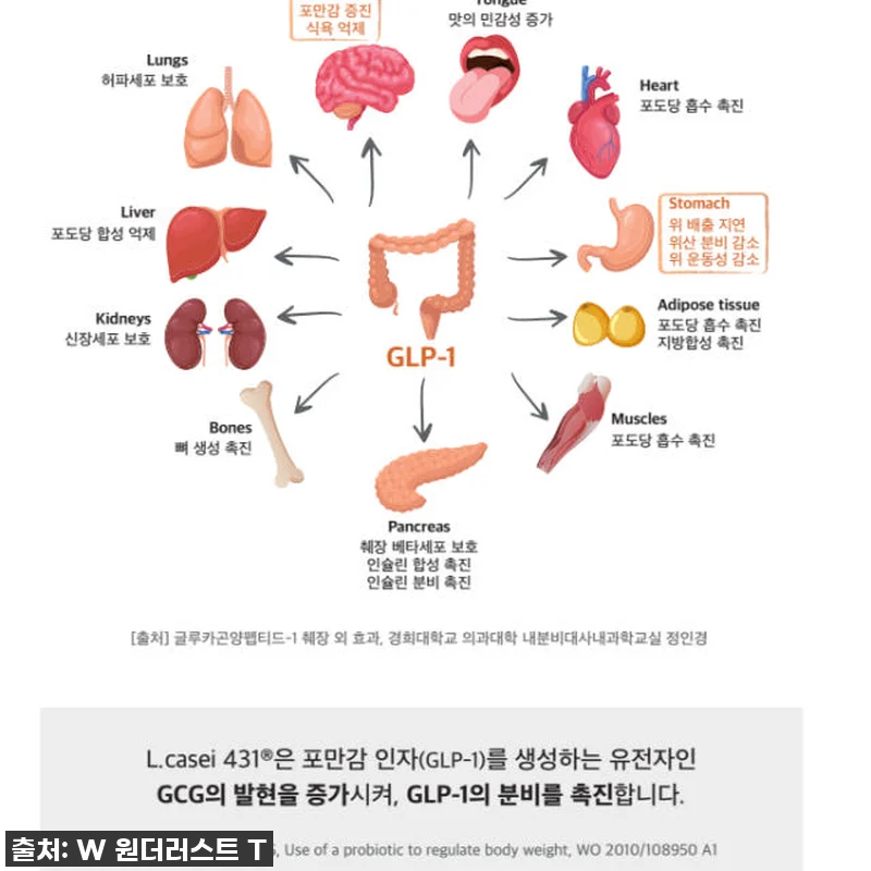 바쁜 일상 속 든든함과 가벼움을 동시 관련 이미지 8