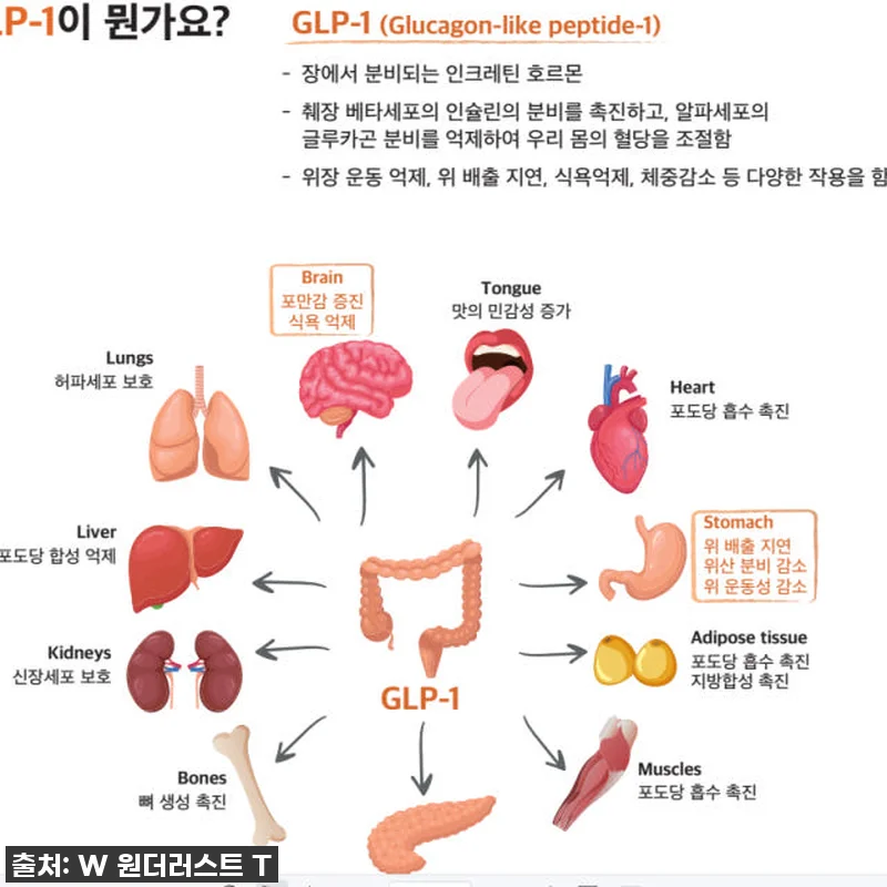 바쁜 일상 속 든든함과 가벼움을 동시 관련 이미지 9