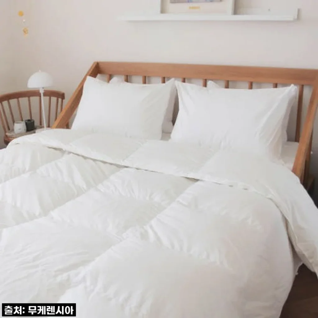 환절기 꿀잠 비결? 브리즈우드가든 폴란드구스 차렵 세트로 경험한 완벽한 밤!