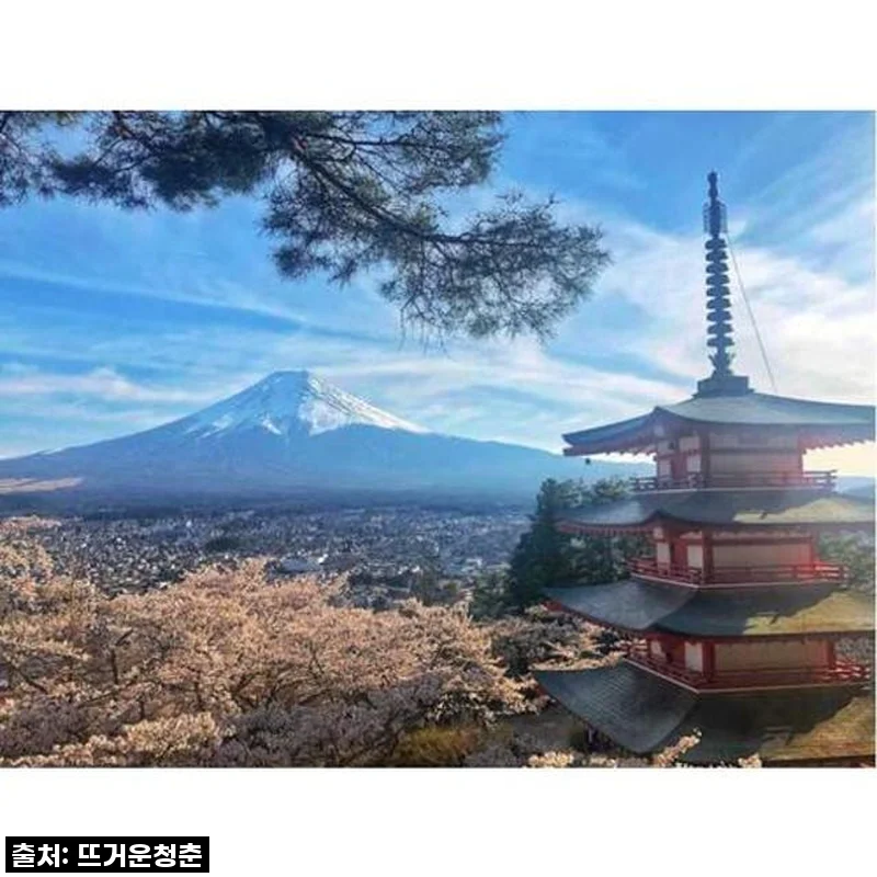 도쿄에서 후지산 가와구치 호수로 떠난 개인 여행, 내 생애 최고의 선택이었어요!