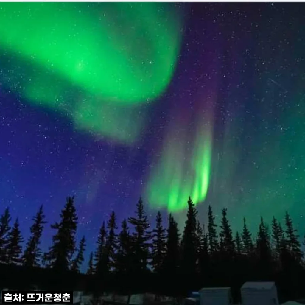 캐나다 옐로나이프 4박5일 오로라 투어, 제가 직접 경험해보니!