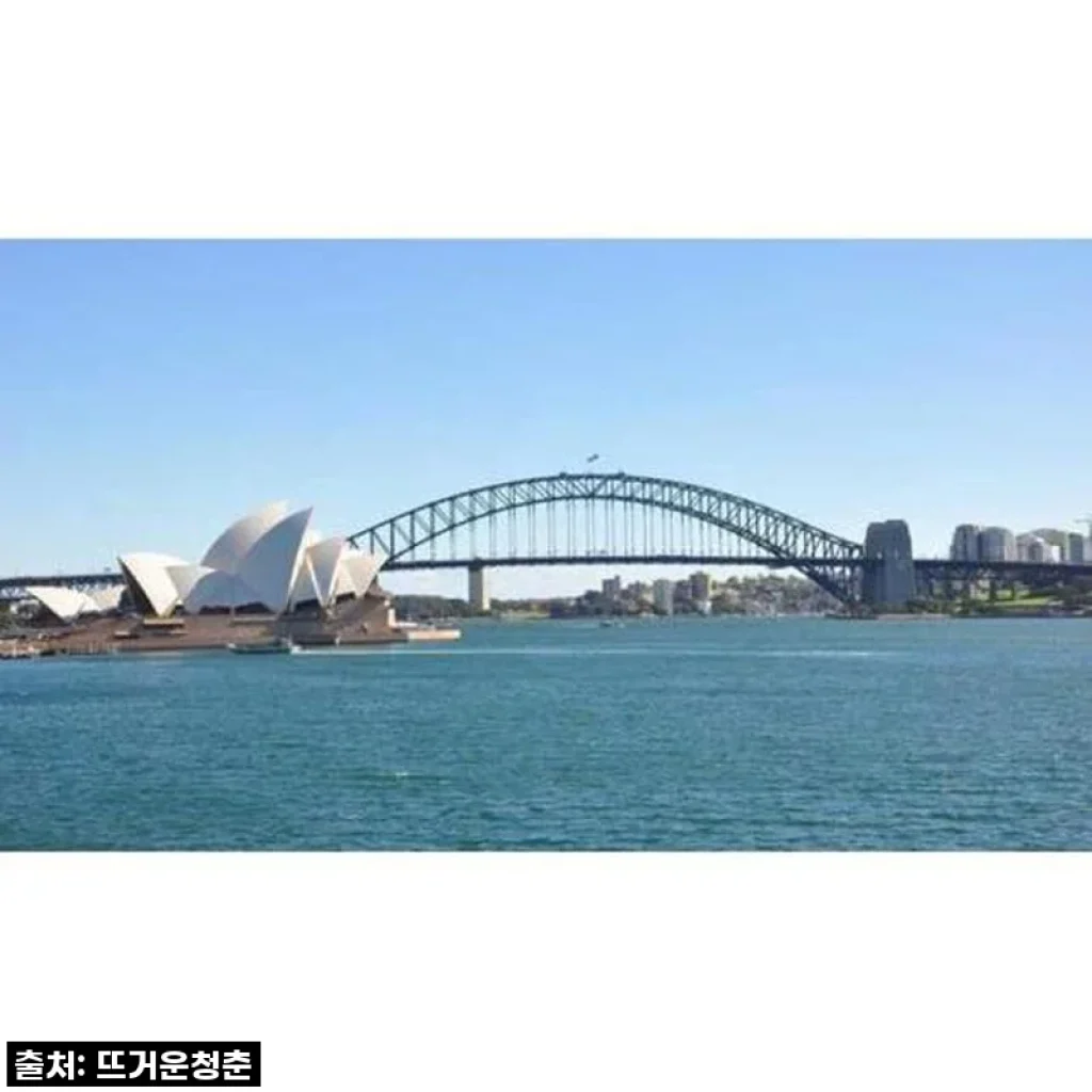 호주 시드니 프라이빗 반나절 투어, 숨겨진 매력까지 제대로 경험한 후기!