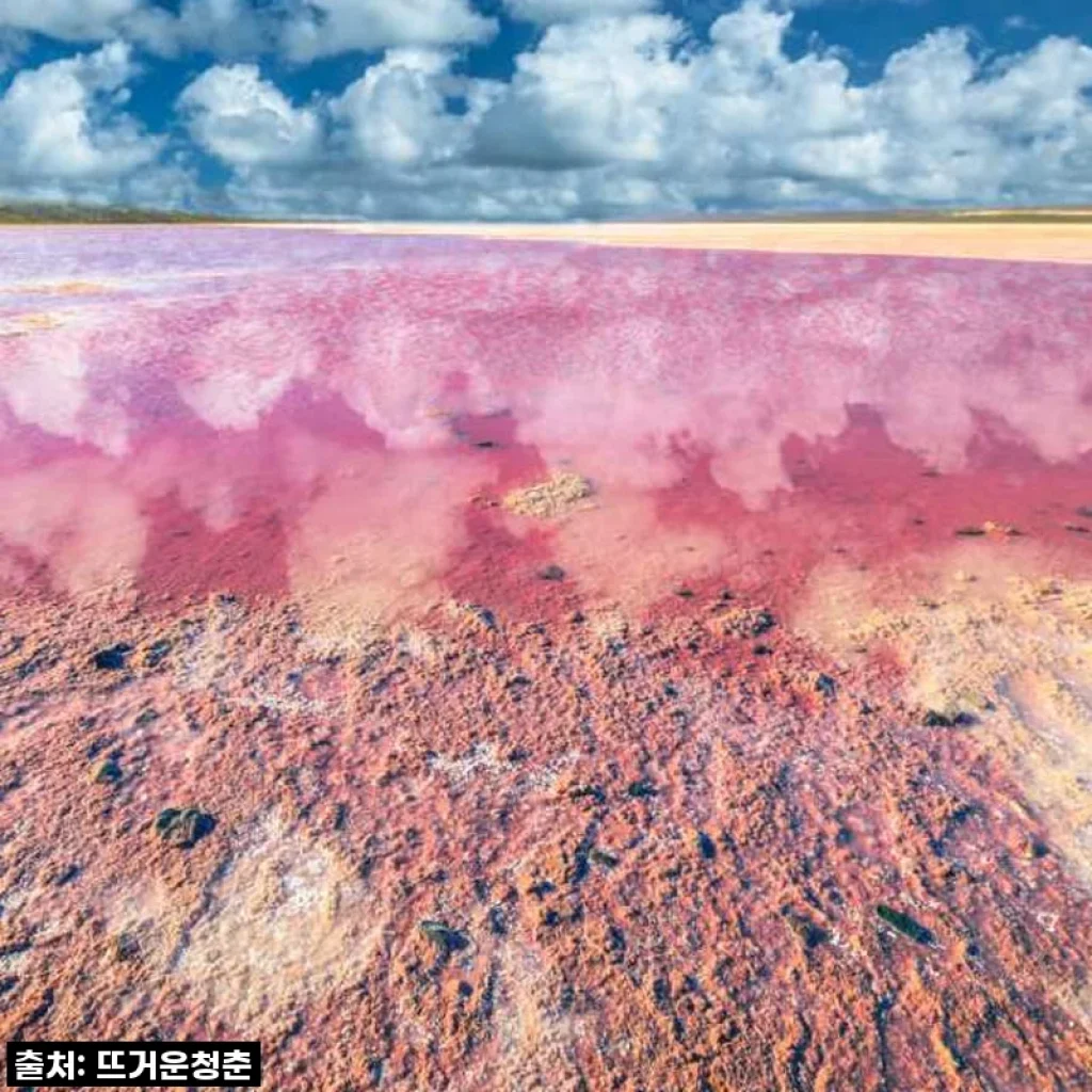 호주 서호주 2박3일 투어: 핑크호수, 칼바리, 남붕국립공원 (퍼스 출발)