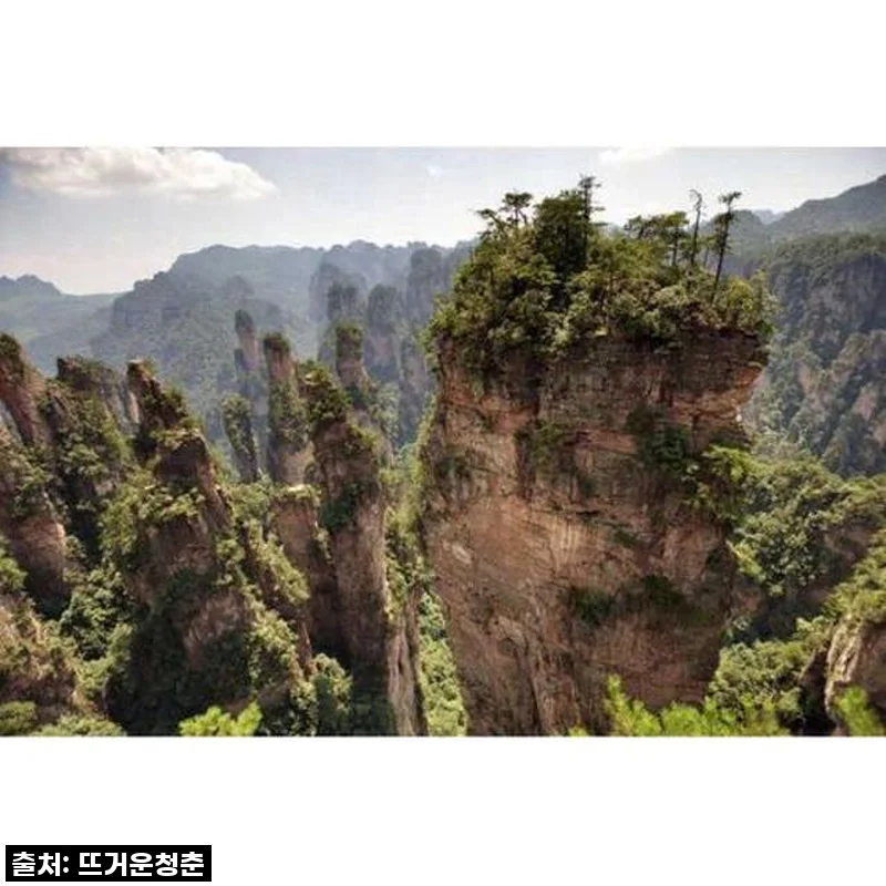 장가계 프라이빗 일일 투어, 혼자라도 완벽하게 즐긴 특별한 여행!