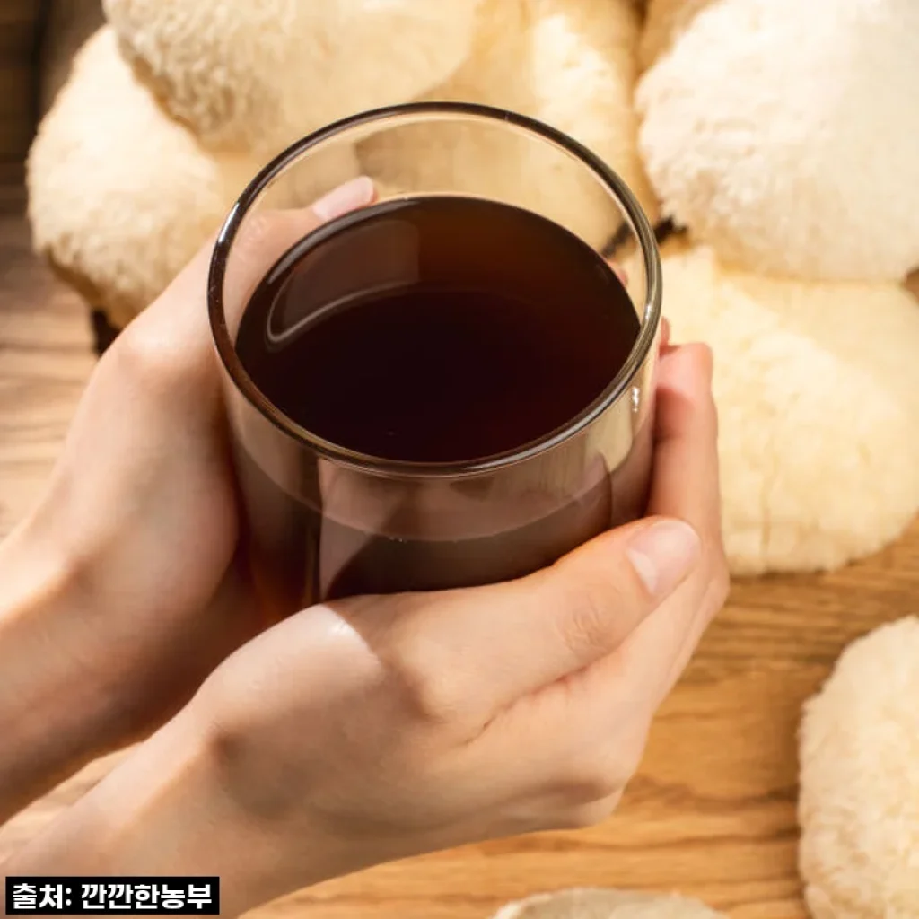 [깐깐한농부] 진한 노루궁뎅이버섯 액기스 60포 사용후기, 건강한 위 관리에 도움 되는 버섯즙