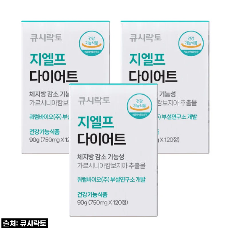 큐시락토 지엘프 다이어트 보조제 3개월 사용 후기와 효과