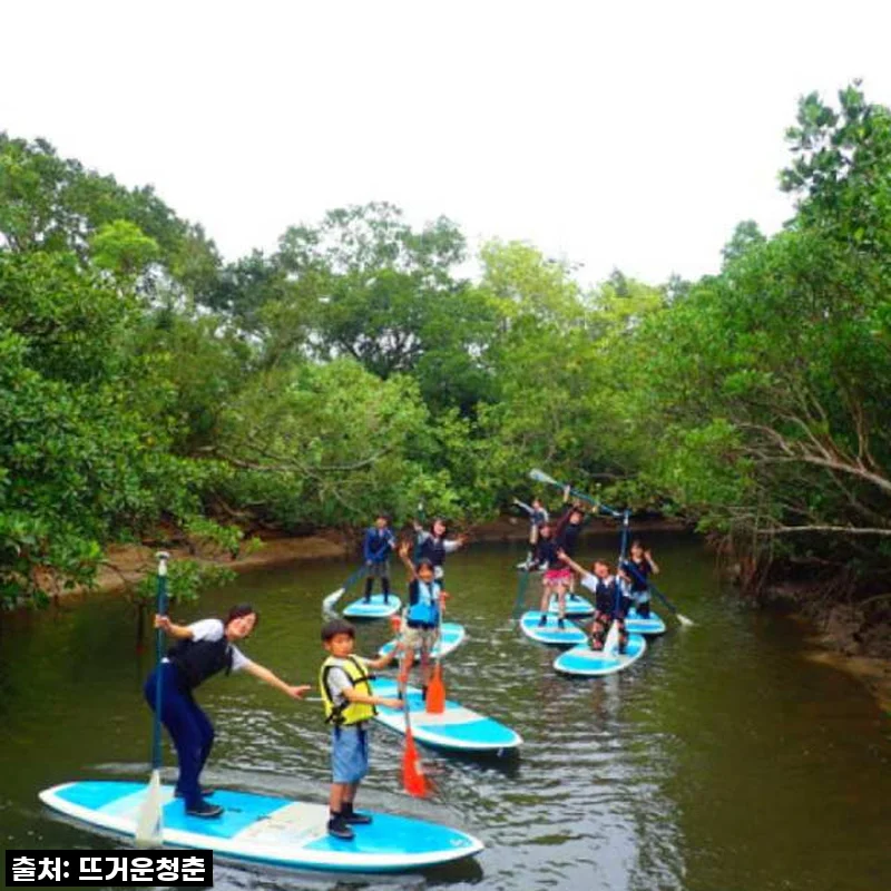 일본 오키나와 이리오모테섬 프라이빗 반나절 투어, 직접 경험한 특별한 여행