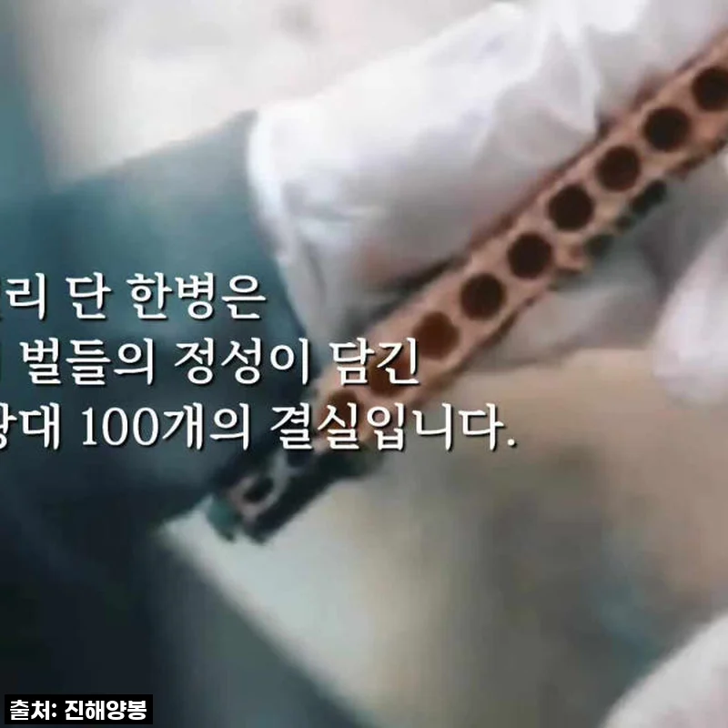 진해양봉 로얄젤리 1개월분 4병 세트 사용후기 및 제품소개