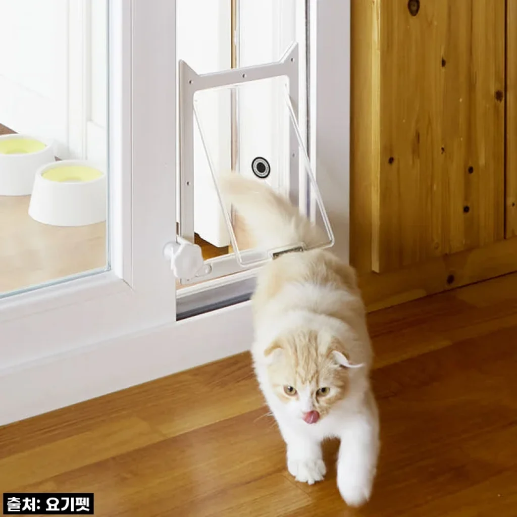 요기펫 높이조절 베란다 펫도어 사용후기 - 강아지와 고양이 모두 만족한 선택