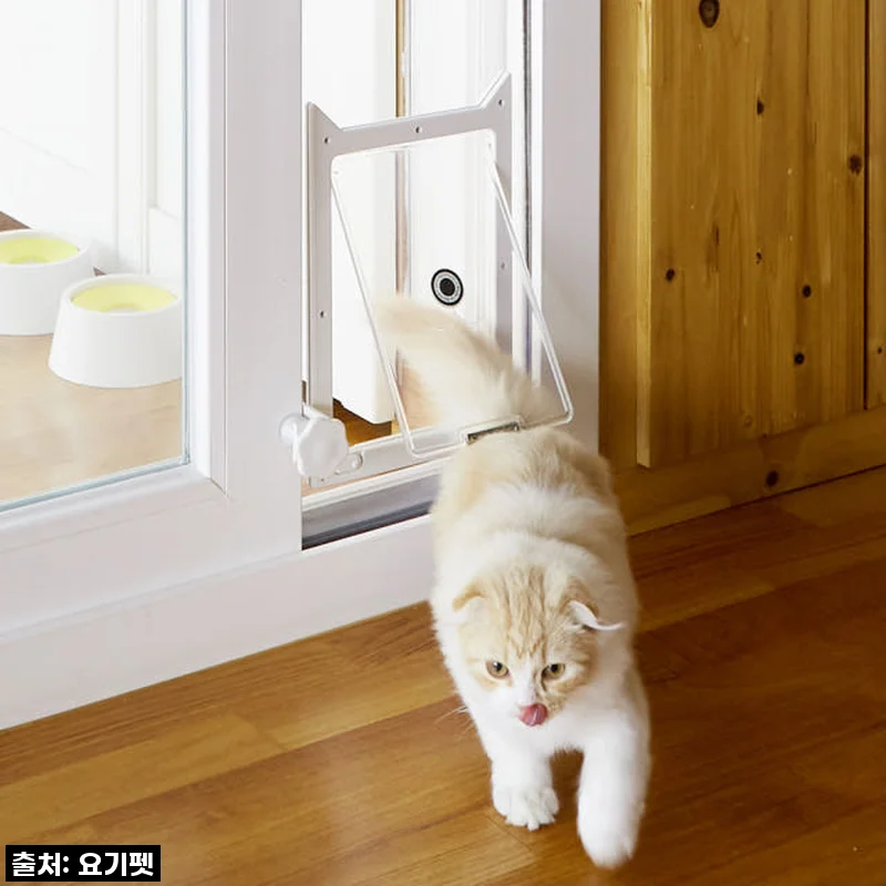 요기펫 높이조절 베란다 펫도어 사용후기 - 강아지와 고양이 모두 만족한 선택