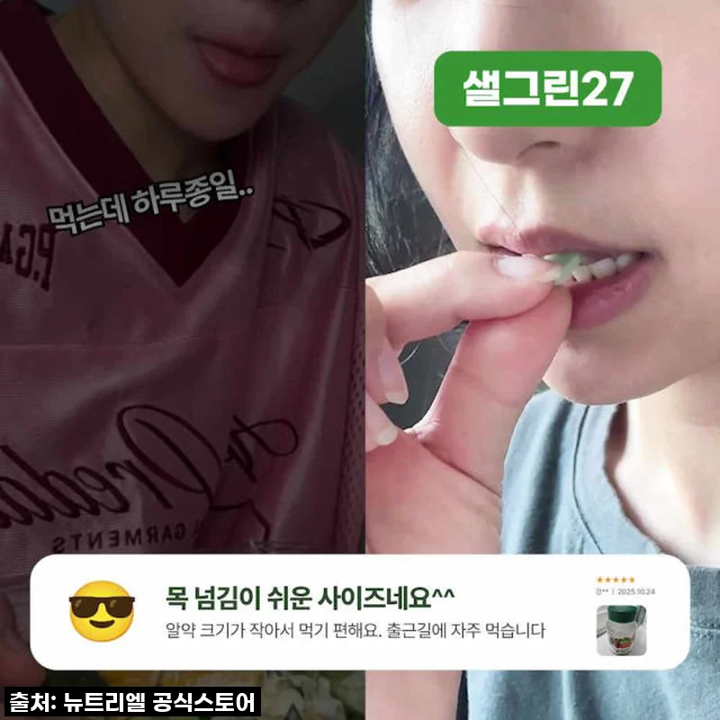 뉴트리엘 샐그린27 식이섬유 유산균 사용 후기, 바쁜 일상 속 간편한 장 건강 비결