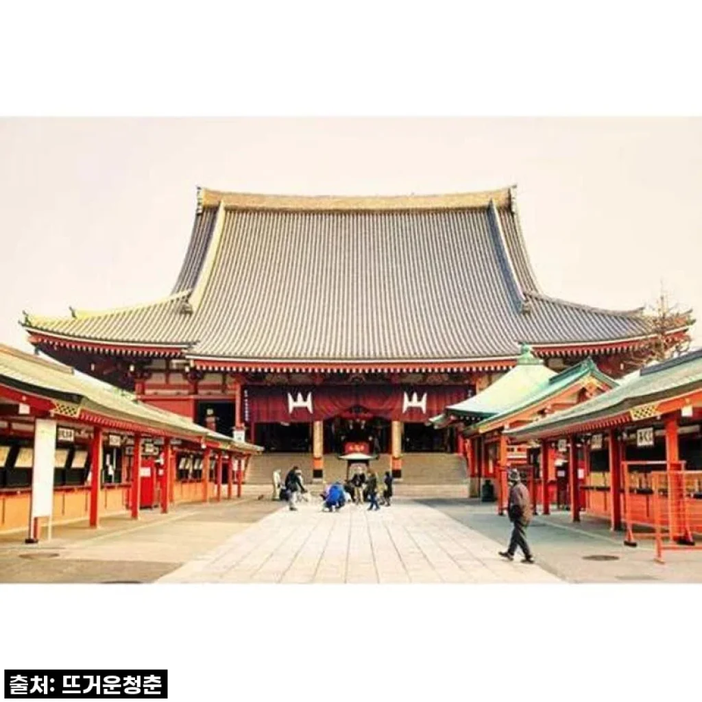 일본 도쿄 자동차 개인 맞춤형 1일 투어 사용 후기