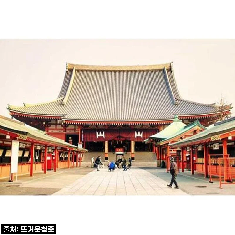 일본 도쿄 자동차 개인 맞춤형 1일 투어 사용 후기