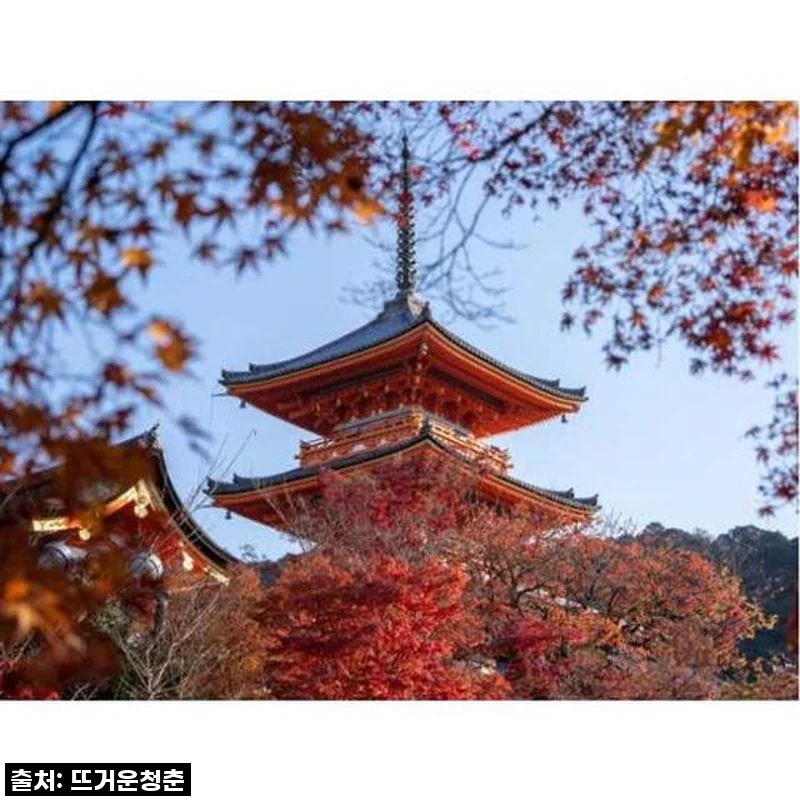 일본 교토 개인 가이드 투어, 직접 경험한 특별한 하루