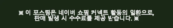 일본 오사카 간사이 클래식 로드 교토 & 오사카 차량투어 사용후기 4 이해관계문구