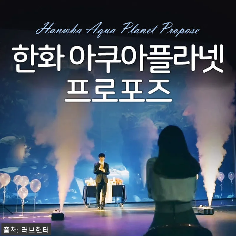 한화 아쿠아플라넷 프로포즈 전문가패키 관련 이미지 1