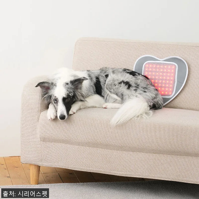 시리어스펫 슬개골 따땃패드 사용후기: 관련 이미지 1