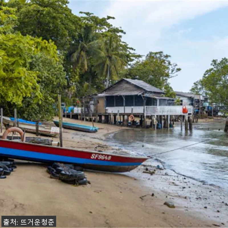 싱가포르 왕복 교통편 포함 투어: 풀 관련 이미지 1