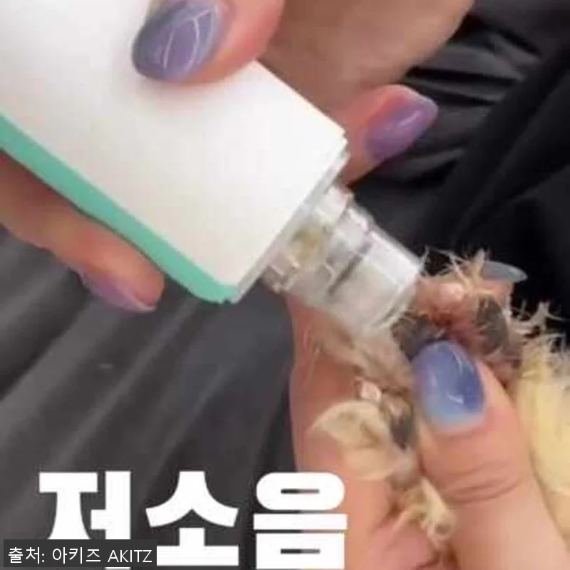 민트 터보 그라인더 사용후기 - 강아 관련 이미지 1