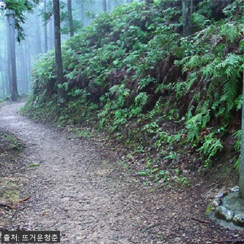 일본 구마노코도 2일 워킹 투어 사용 관련 이미지 1