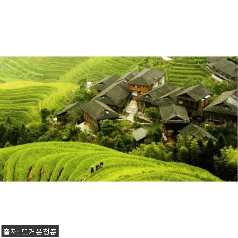 롱셩 드래곤의 백본 계단식 논, 직접 관련 이미지 1