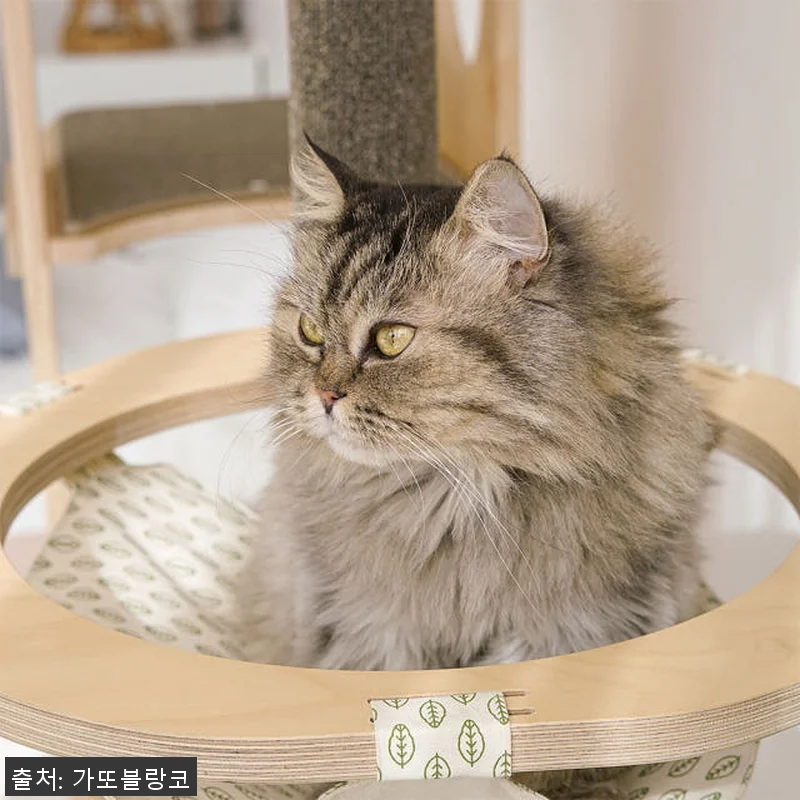 내추럴 파인 캣트리 고양이 원목 캣타 관련 이미지 1