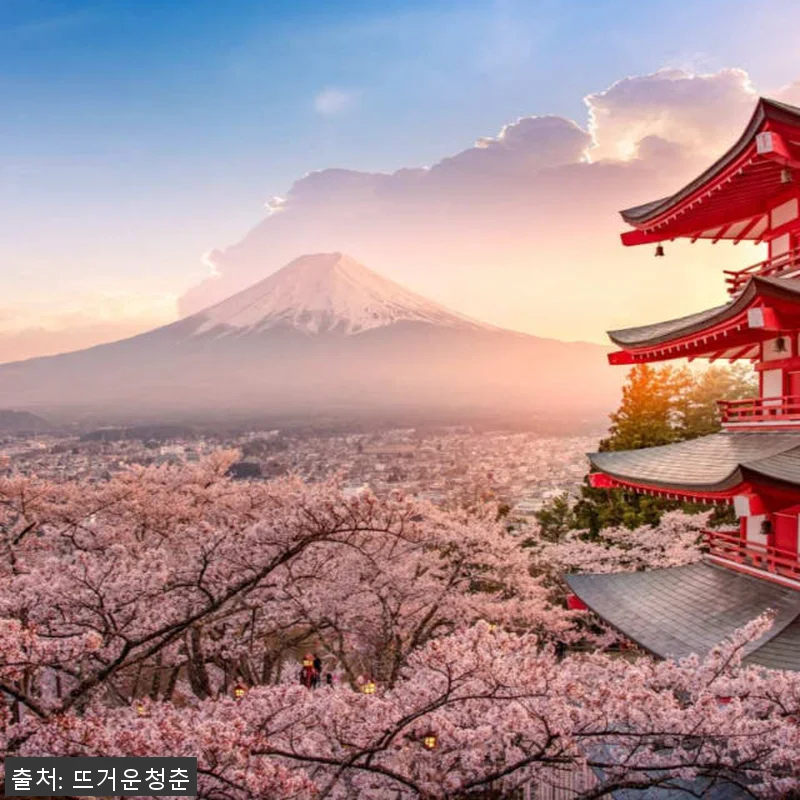 일본 프라이빗 데이 투어 도쿄/산 후 관련 이미지 1