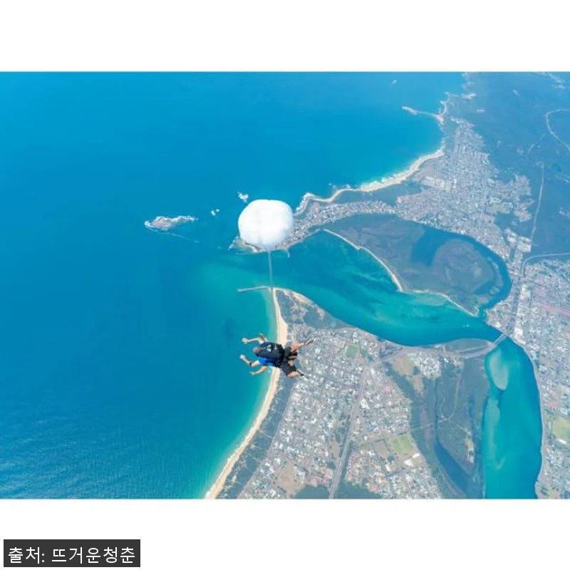 호주 시드니 뉴캐슬 스카이다이빙 사용 관련 이미지 1