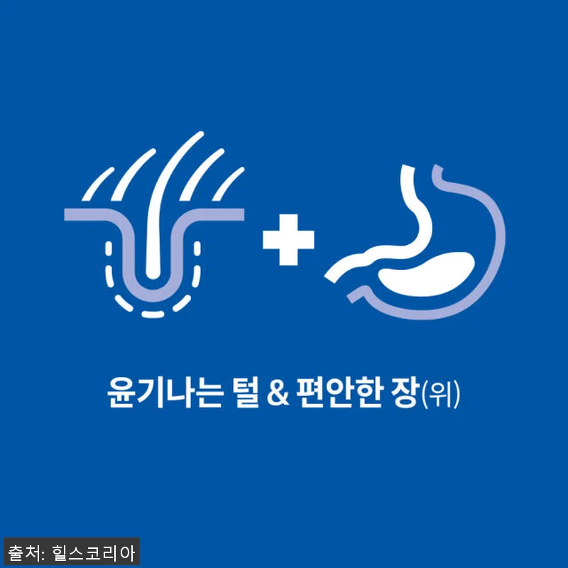 힐스 강아지사료 어덜트 센서티브 스토 관련 이미지 1