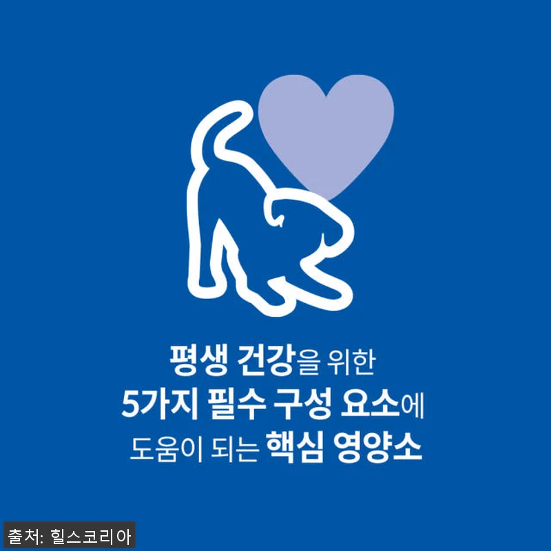 힐스 강아지사료 대형견용 퍼피 라지브 관련 이미지 1