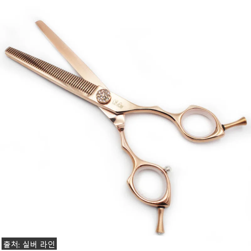 실버라인펫 ERAD 강아지 애견 미용 관련 이미지 1