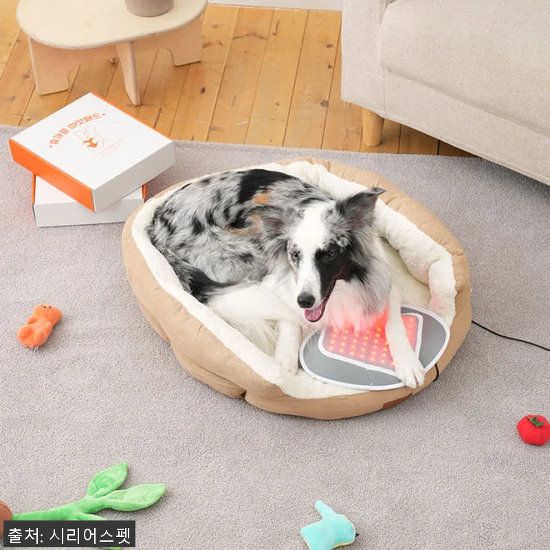 시리어스펫 슬개골 따땃패드 사용후기: 관련 이미지 2