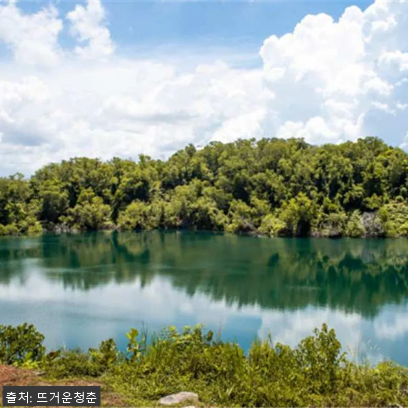 싱가포르 왕복 교통편 포함 투어: 풀 관련 이미지 2