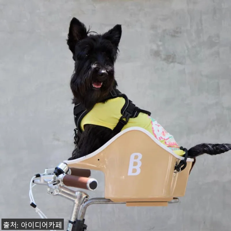브룩앤브리즈 댕댕라이더 강아지 자전거 관련 이미지 2