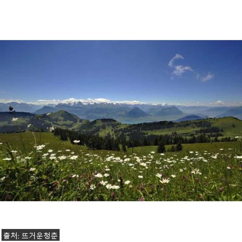 스위스 취리히 산의 여왕, 리기와 루 관련 이미지 2