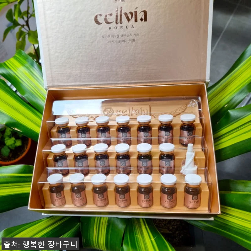 셀비아 앰플 미솔로지와 디바이스 세트 관련 이미지 2