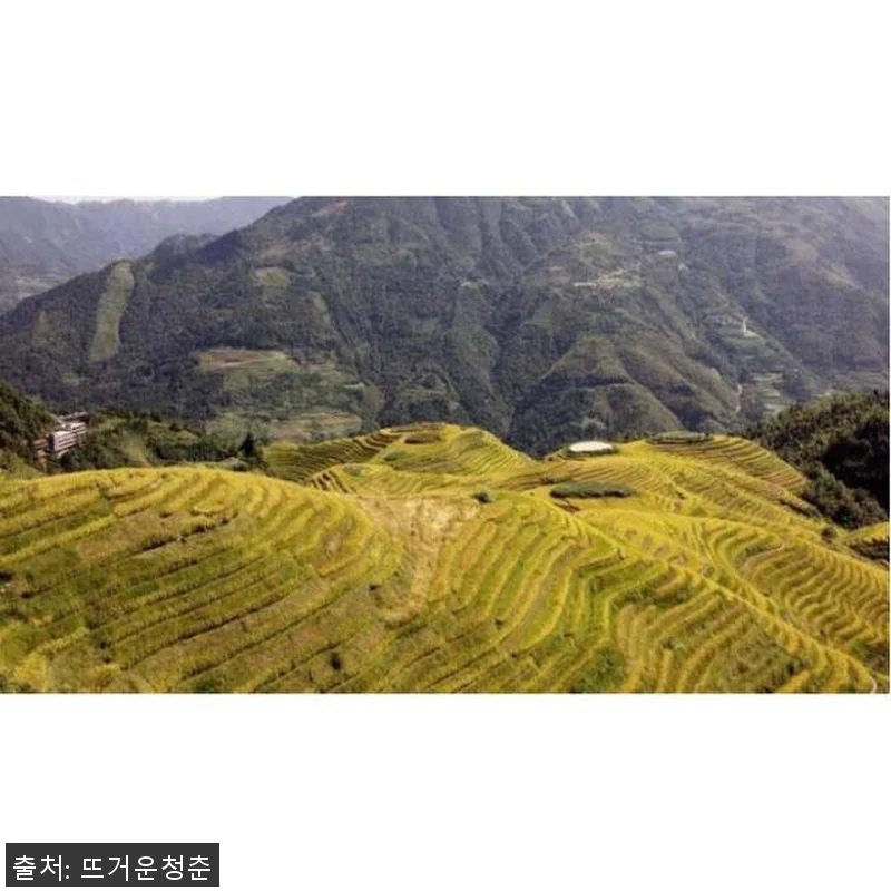 롱셩 드래곤의 백본 계단식 논, 직접 관련 이미지 2